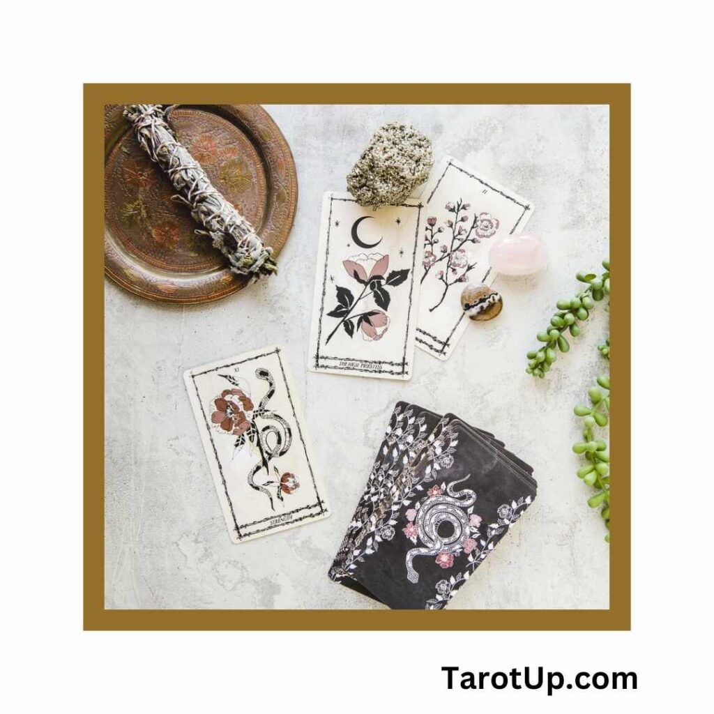 Discover the Key Differences Between Universal Waite Tarot Deck vs Rider Waite Featured Image